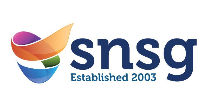 SNSG logo with a colourful abstract symbol on the left and the text sns g Established 2003 in blue on the right.